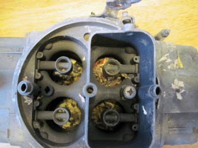 Holly 02.jpg Holly 02.jpg