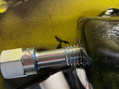 IMG_1683.jpg IMG_1683.jpg