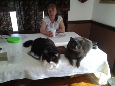 20190317_132022.jpg 20190317_132022.jpg