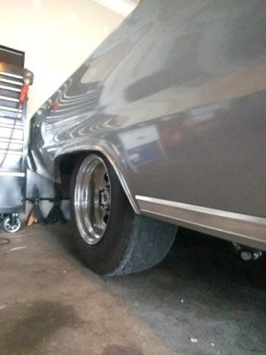 IMG_20200410_191559.jpg IMG_20200410_191559.jpg