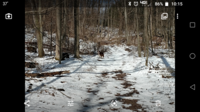Screenshot_20200411-101542.png