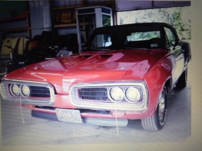 IMG_20191108_145629629.jpg IMG_20191108_145629629.jpg