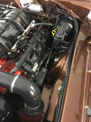 file133.JPG file133.JPG