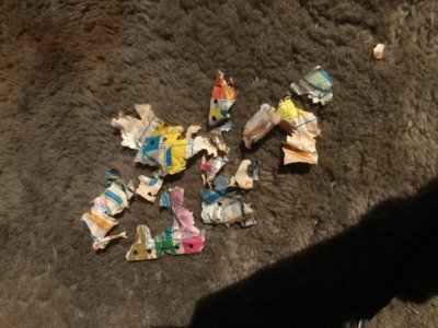 shredded docs.jpg shredded docs.jpg