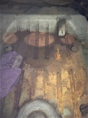 OrigTrunk.jpg OrigTrunk.jpg