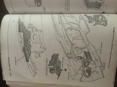 B19D56D7-E2EA-4817-860B-47E45874FE04.jpeg B19D56D7-E2EA-4817-860B-47E45874FE04.jpeg