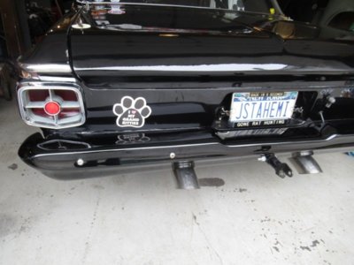 IMG_3781.jpg IMG_3781.jpg