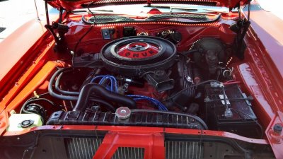 IMG_20130427_140731_881.jpg