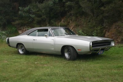 Charger at Kai iwi Lakes (Medium).jpg