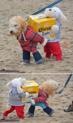 Dog Costume.jpg