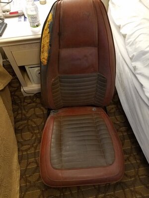 20191012_082828.jpg 20191012_082828.jpg