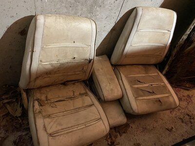 40EC3968-3452-4ADB-89F8-5BD7699E8B40.jpeg 40EC3968-3452-4ADB-89F8-5BD7699E8B40.jpeg