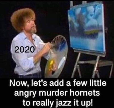 74A5EEDD-7067-4362-BC3C-4DA9FA847F93.jpeg
