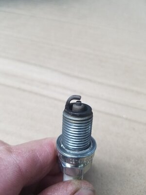 20200518_072802.jpg 20200518_072802.jpg