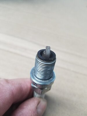 20200518_072748.jpg 20200518_072748.jpg