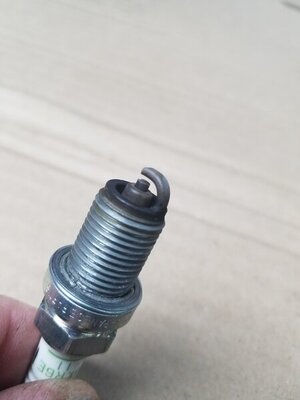 20200518_072731.jpg 20200518_072731.jpg