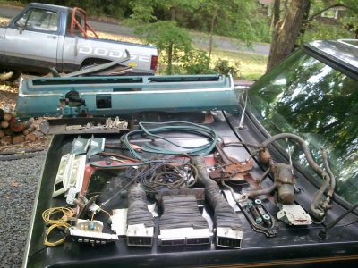 2013-04-29 18.57.36.jpg