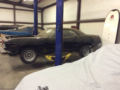 D379BA8F-5EF5-4594-9825-E19826B6AA64.jpeg D379BA8F-5EF5-4594-9825-E19826B6AA64.jpeg