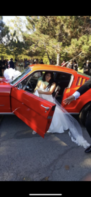 image7.png image7.png