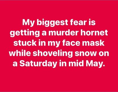 Murder May.JPG
