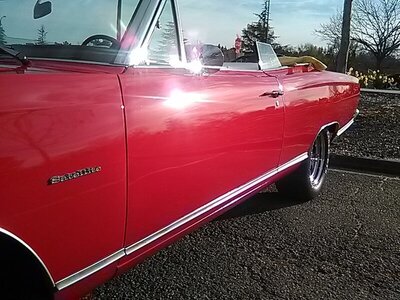 IMG_20170303_163115(1).jpg