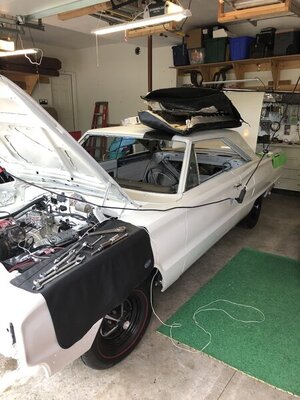 3021457A-6E5E-4958-8842-BBF042E5D935.jpeg 3021457A-6E5E-4958-8842-BBF042E5D935.jpeg