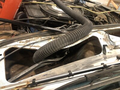 IMG_6085.JPEG IMG_6085.JPEG