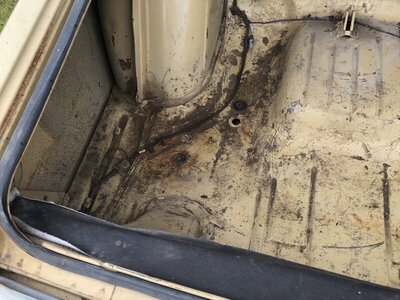 ECC69496-D2E3-4B2C-B0AA-95495C3797D2.jpeg ECC69496-D2E3-4B2C-B0AA-95495C3797D2.jpeg