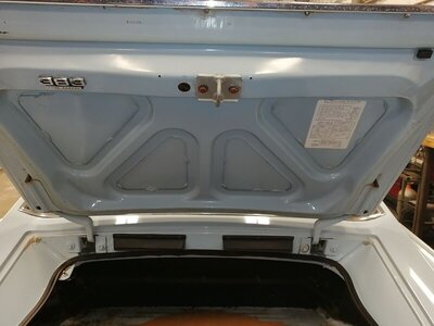 light blue trunk lid.jpg