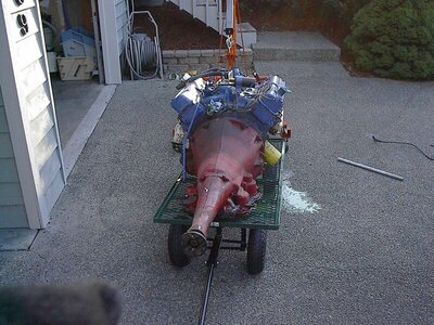 pumpkinpatch02 033a.jpg