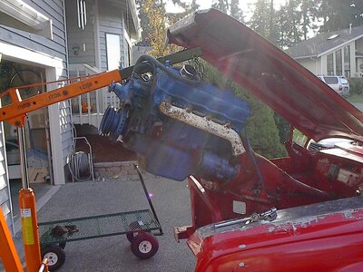 pumpkinpatch02 022a.jpg