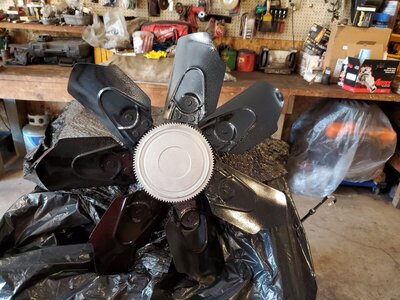 20200618_153741_copy_3024x2268.jpg 20200618_153741_copy_3024x2268.jpg