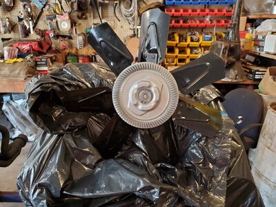 20200618_153731_copy_3024x2268.jpg 20200618_153731_copy_3024x2268.jpg