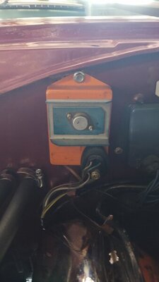 IMG_20200622_081611553.jpg IMG_20200622_081611553.jpg