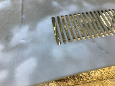 IMG_3596.JPG IMG_3596.JPG