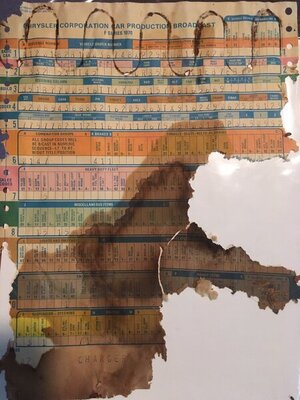 IMG_1950.JPG IMG_1950.JPG