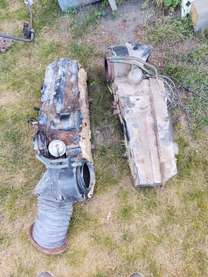 IMG_20200625_113812320.jpg IMG_20200625_113812320.jpg