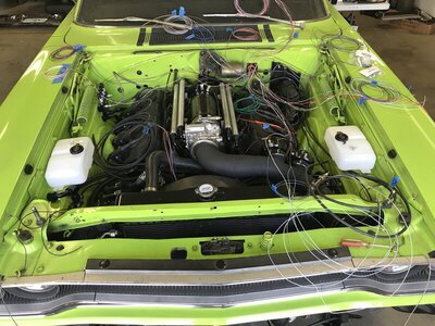 0F1107DC-5641-4E02-98EA-C1856C8D422F.jpeg 0F1107DC-5641-4E02-98EA-C1856C8D422F.jpeg