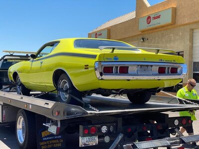 IMG_2955.jpg IMG_2955.jpg