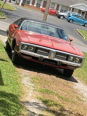 D98D6BE7-3282-430E-ADC1-A0B2A20BAC04.jpeg D98D6BE7-3282-430E-ADC1-A0B2A20BAC04.jpeg