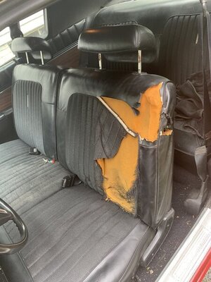 5A8B1F66-CC6D-4874-8A2E-11E77AC575D5.jpeg 5A8B1F66-CC6D-4874-8A2E-11E77AC575D5.jpeg