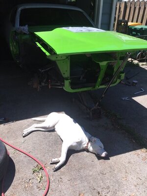 IMG-5578.JPG IMG-5578.JPG