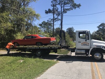 355DF630-DC11-4233-9630-FF97C7E518B4.jpeg 355DF630-DC11-4233-9630-FF97C7E518B4.jpeg