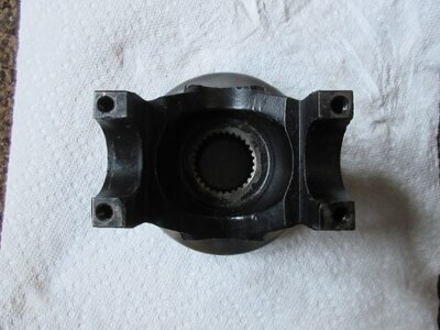 IMG_0517 (500x375).jpg