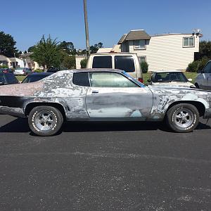 IMG_7447.JPG IMG_7447.JPG