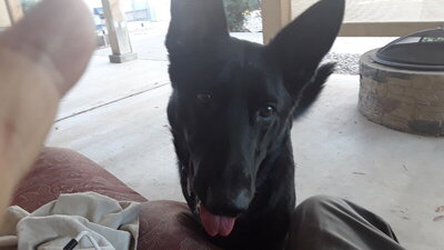 20200610_184613.jpg