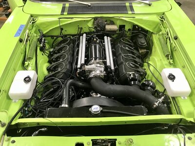 528D11F0-D6F1-4711-BE02-530361BBFDD7.jpeg 528D11F0-D6F1-4711-BE02-530361BBFDD7.jpeg