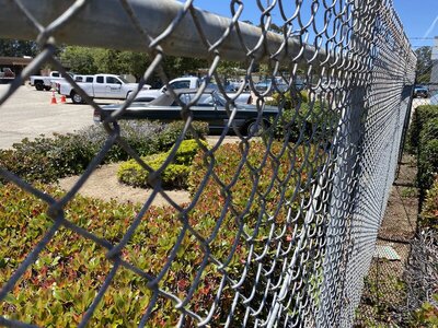 IMG_0435.jpeg IMG_0435.jpeg