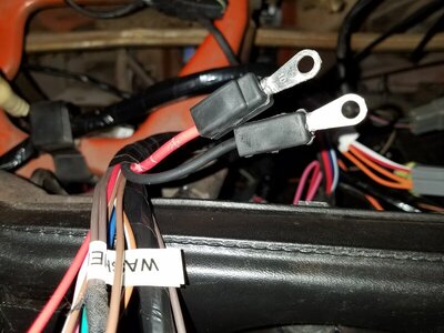 20200724_002008.jpg 20200724_002008.jpg