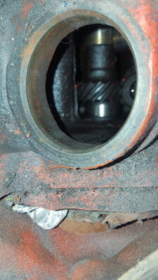 20200726_174942.jpg
